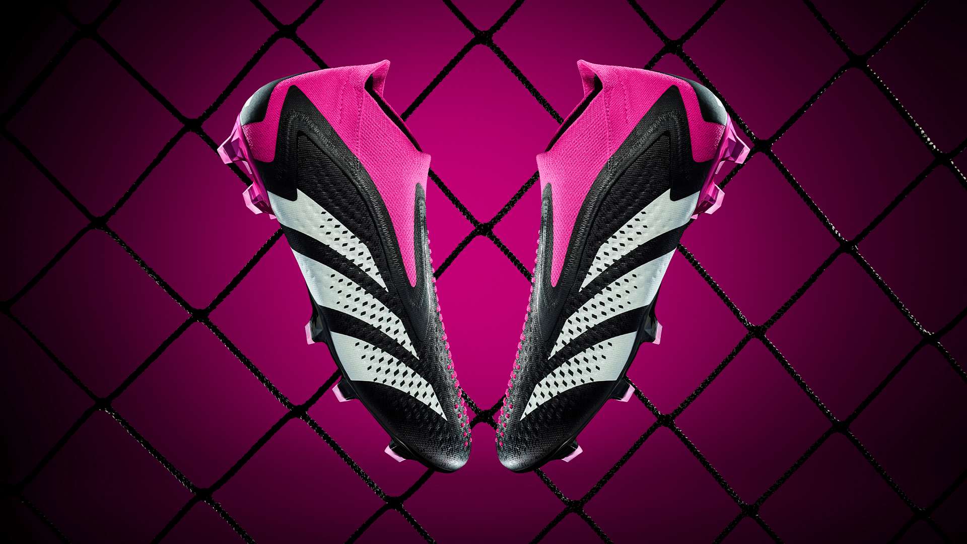 关心与回馈 关心与回馈