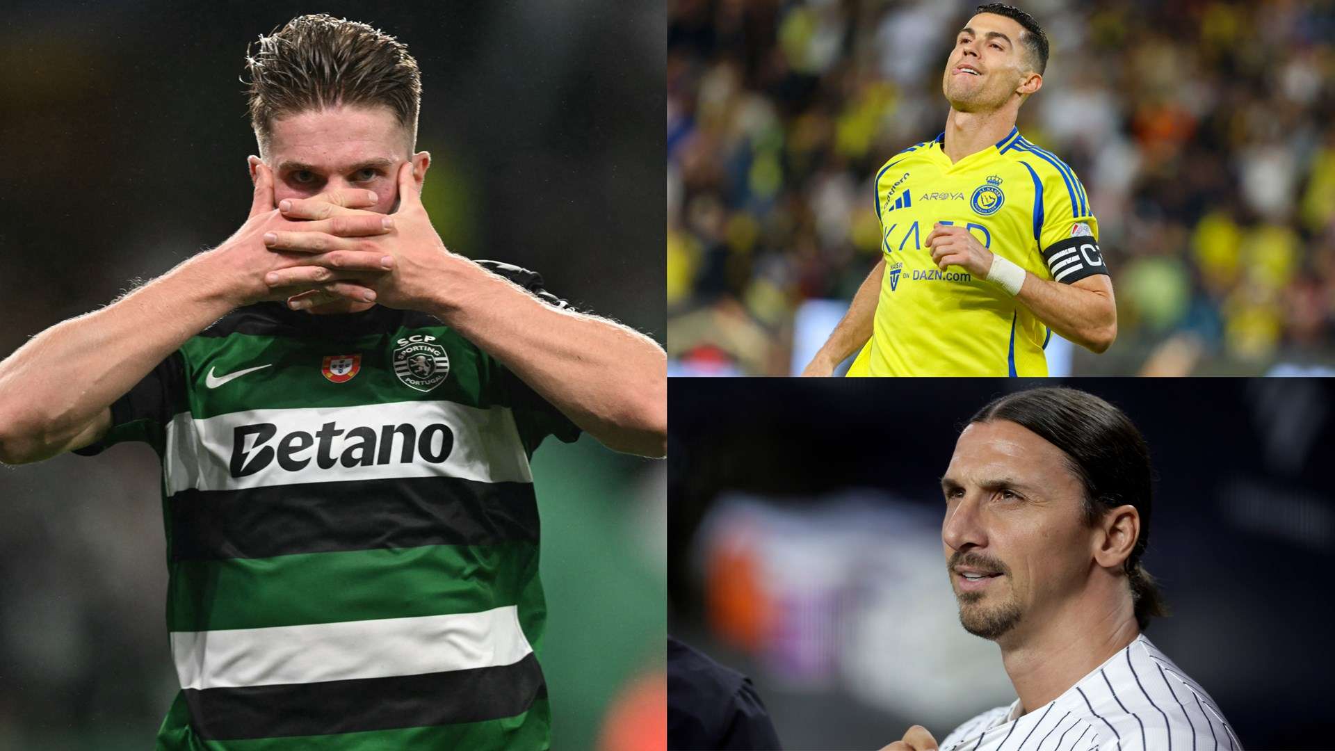 使得教练们 使得教练们