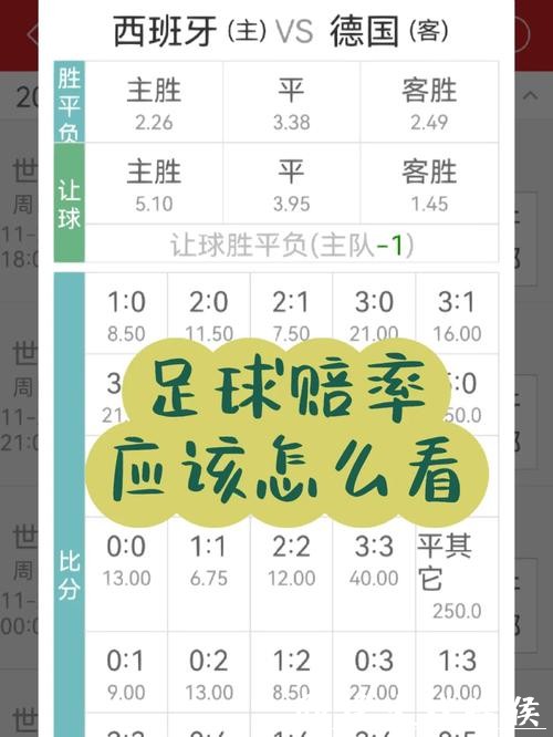 2026世界杯投注：赔率解析与投注心得
